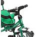 Уценка! Велосипед Capella Town Rider 3-х колесный Green (4)