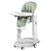 Стульчик Peg Perego Tatamia Follow Me Sage (1)
