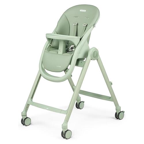Стульчик Peg-Perego Living Sage (13)