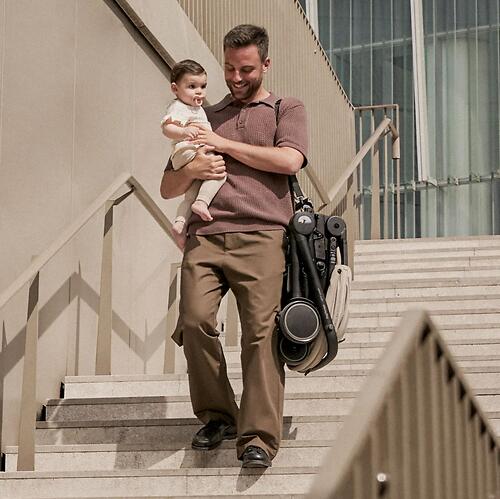 Коляска Peg-Perego City Loop Metal (26)