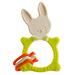 Прорезыватель универсальный Roxy Kids Bunny Зеленый (1)