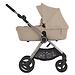 Коляска 2в1 Anex IQ Seal (NT) (1)