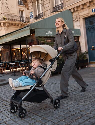 Коляска 2в1 Anex IQ Seal (NT) (26)