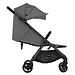 Коляска 2в1 Anex IQ Basic Lune (7)