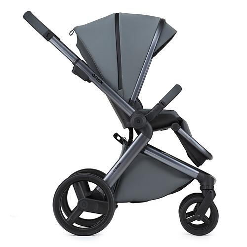 Коляска 2в1 Anex l/type Owl (19)