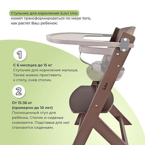 Стульчик для кормления iLovi Uno с вкладышем Sage (10)