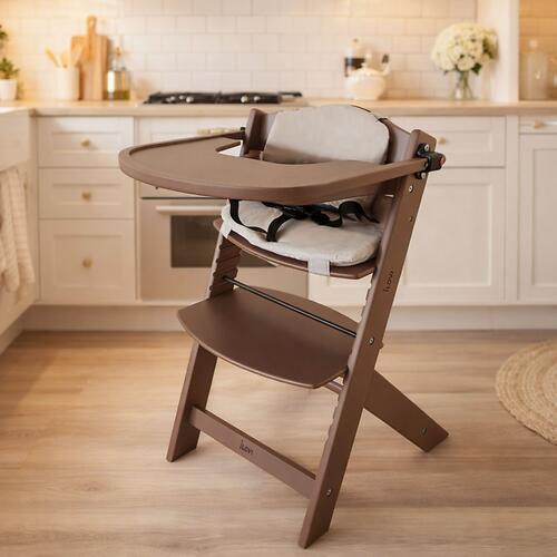 Стульчик для кормления iLovi Uno с вкладышем Sage (11)