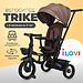 Велосипед iLovi Trike Brown (1)