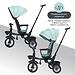 Велосипед iLovi Trike Brown (3)