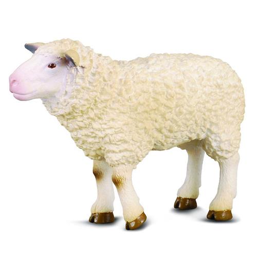 Овца M (1)