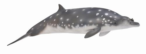 Клюворылый кит L (1)