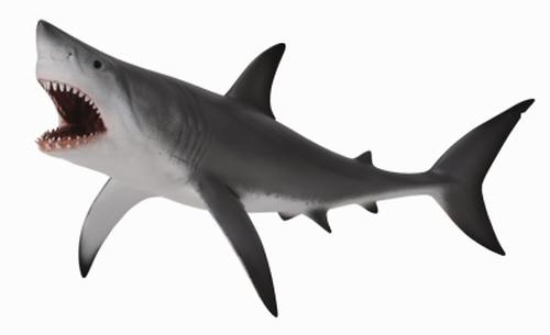 Акула большая белая XL (1)
