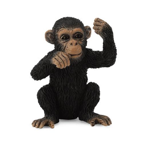 Детеныш шимпанзе S (1)