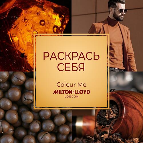 Парфюмированный Спрей для тела Milton-Lloyd Colour Me Amber для мужчин 150ml (10)