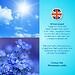Парфюмированная вода Milton-Lloyd Colour Me Sky Blue для женщин 100ml EDP (7)