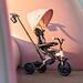 Велосипед QPlay Elite Platinum Pink (2)