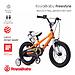 Велосипед двухколесный RoyalBaby Freestyle 14 Inch Orange (1)