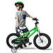 Велосипед двухколесный RoyalBaby Freestyle 16 Inch Green (5)