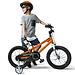 Велосипед двухколесный RoyalBaby Freestyle 16 Inch Orange (5)