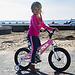 Велосипед двухколесный RoyalBaby Freestyle 14 Inch Pink (5)