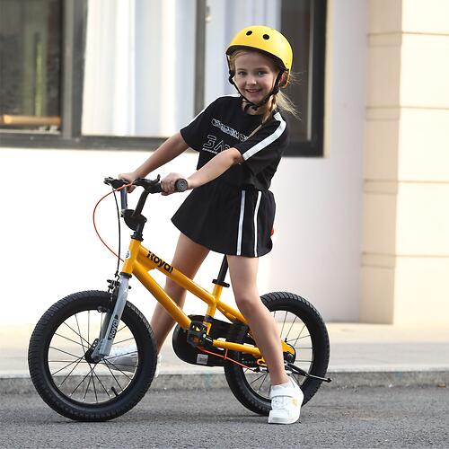 Велосипед двухколесный RoyalBaby Freestyle 16 Inch Yellow (12)
