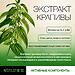 Шампунь для кожи головы глубокая очистка и контроль перхоти Selective Professional OnCare Scalp Purifying 950 мл (2)