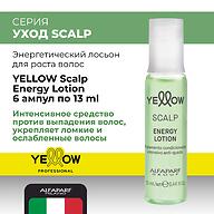 Лосьон энергетический для роста волос YELLOW Energy Lotion ампулы 6x13 мл